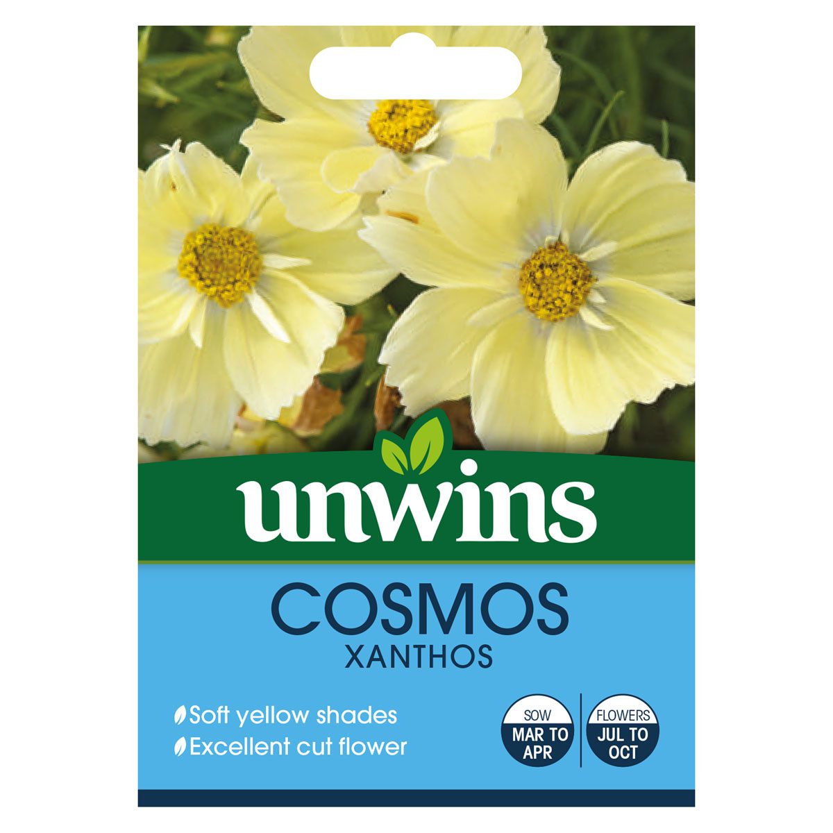 5051618032483 1 Cosmos Xanthos Lemon Sherbet Seeds.jpg